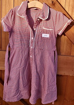 Item Name: G5-6 002 Description: Gingham Dress Condition: Good Size: Aged 5 Price: £1.50