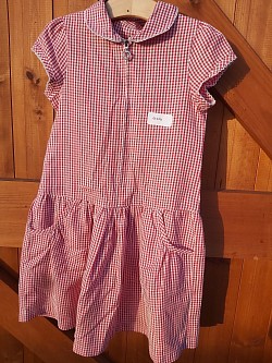 Item Name: G5-6 011 Description: Gingham Dress Condition: Good Size: Aged 6 Price: £1.50
