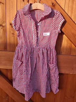 Item Name: G5-6 003 Description: Gingham Dress Condition: Good Size: Aged 6 Price: £1.50