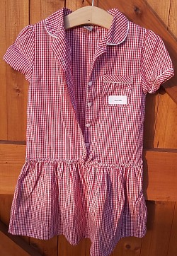 Item Name: G5-6 008 Description: Gingham Dress Condition: Good Size: Aged 6 Price: £1.50