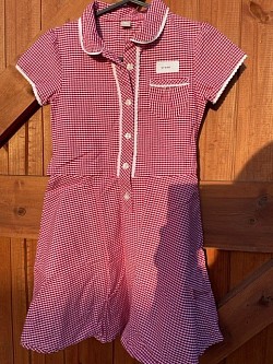 Item Name: G7-8 002 Description: Gingham Dress Condition: Good Size: Aged 7 Price: £1.50