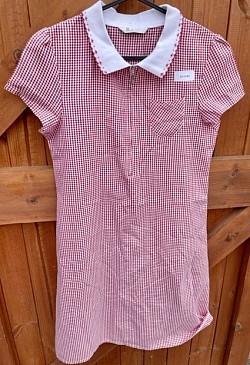 SOLD EB - Item Name: G11-12 002 Description: Red Gingham Dress Condition: Good Size: Aged 12 Price: 50p